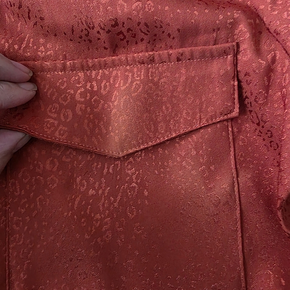 Ann Taylor Scarlet Button-Down‎ Blouse - Picture 4 of 7